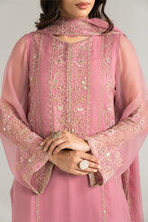 3 Piece Chiffon Embroidered Suit (FL0030)